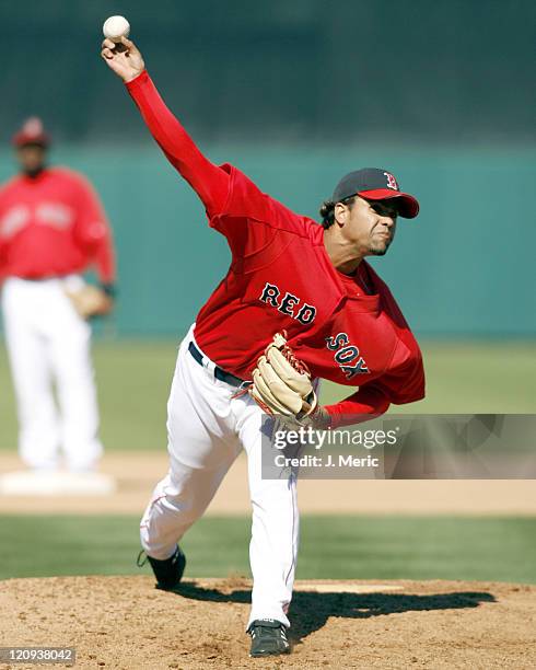 Boston reliever Manny Delcarmen makes a pitch during Saturday's game against the Blue Jays at City of Palms Park in Ft. Myers Florida on March 25,...