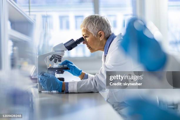 mature chemist working on a microscope in laboratory. - microbiology lab stock pictures, royalty-free photos & images