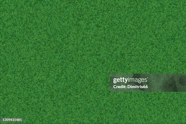 stockillustraties, clipart, cartoons en iconen met groene gras realistische getextureerde achtergrond. - grasspriet