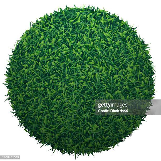 grüner globus aus gras isoliert auf weißem hintergrund - gedeihend stock-grafiken, -clipart, -cartoons und -symbole