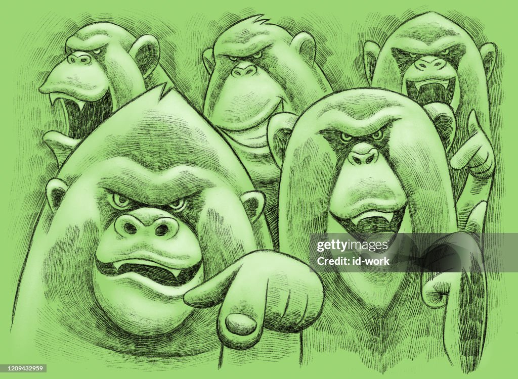 Gorilla and chimpanzees meeting