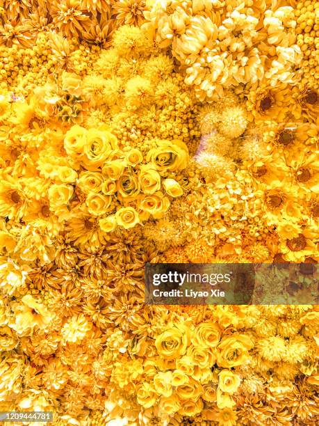 flowers arrangement - yellow flowers stock pictures, royalty-free photos & images