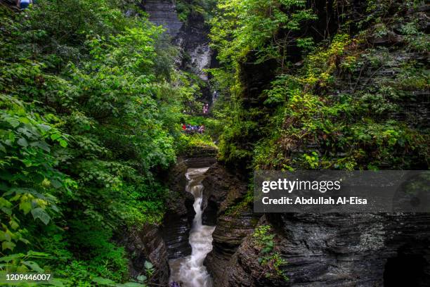 watkins glen falls - watkins glen 個照片及圖片檔