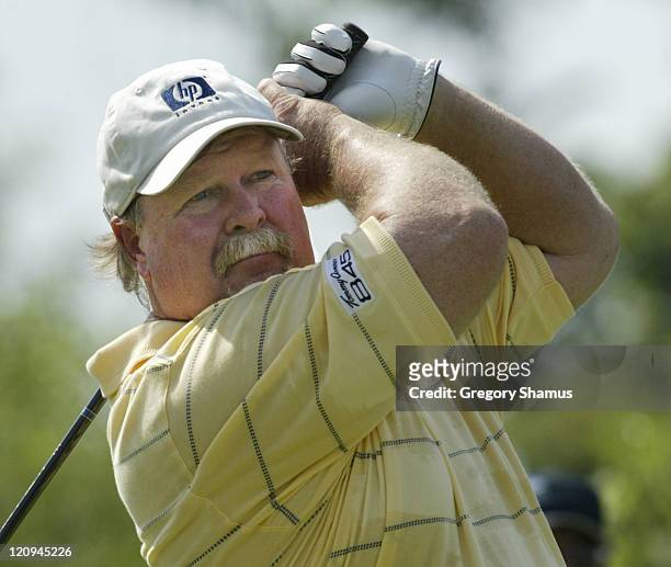 Craig Stadler during the third round of the Ford Senior Players Championship at the TPC of Michigan in Dearborn. Michigan July 10, 2004.