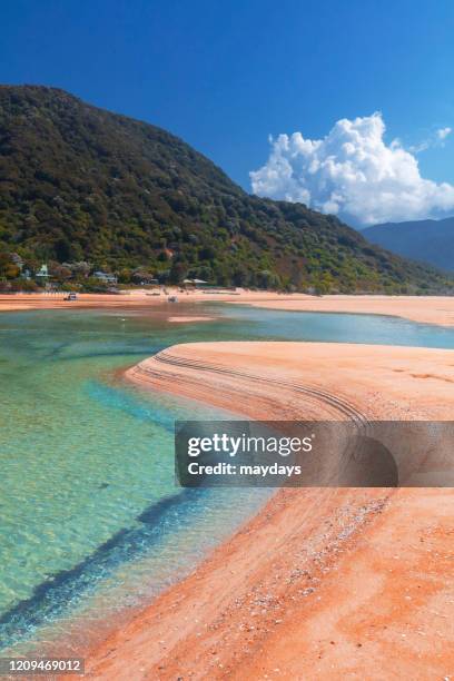 abel tasman national park, new zealand - abel tasman national park stock pictures, royalty-free photos & images