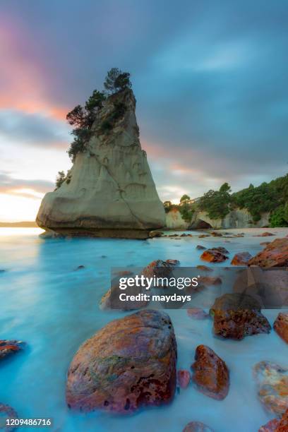 cathedral cove, new zealand - cathedral cove stock pictures, royalty-free photos & images