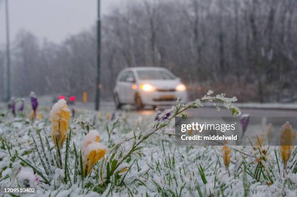 het verkeer van de winter - sneeuwen stockfoto's en -beelden