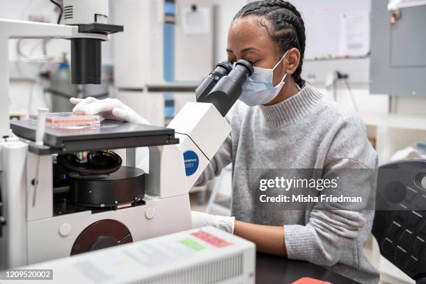 Raychel Lewis, cell culture technician, setting up equipment to test COVID-19 samples from recovered patients at Mirimus lab on April 8, 2020 in...
