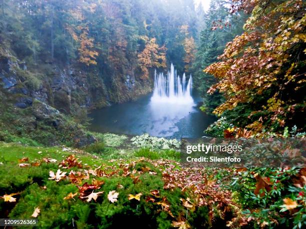 butchart gardens ross fountain on misty day - butchart gardens canada stock-fotos und bilder