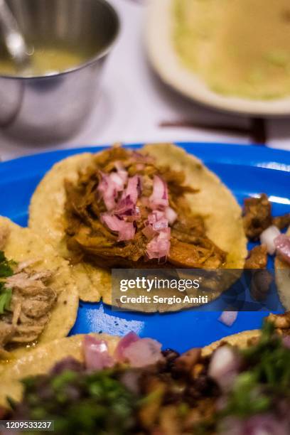 taco de cochinita pibil - yucatánhalvön bildbanksfoton och bilder