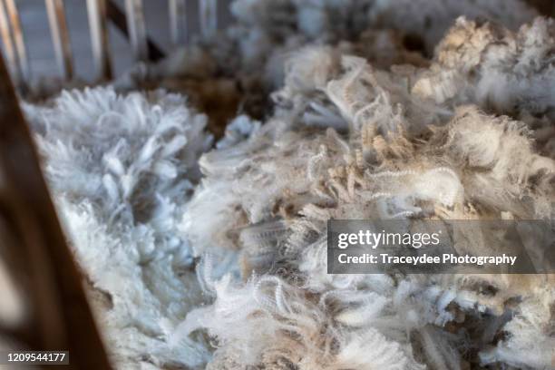 basket of raw sheep wool - wolle stock-fotos und bilder