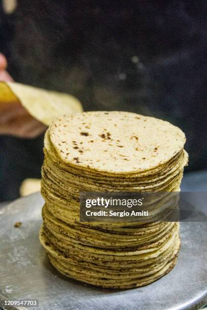 weighing tortillas - tortilla stock pictures, royalty-free photos & images