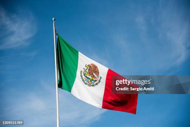 mexican flag and blue sky - bandeira do méxico imagens e fotografias de stock