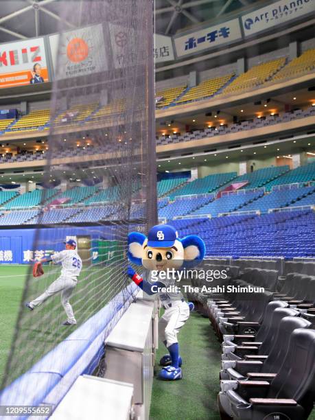 Chunichi Dragons mascot Doala is seen in the empty stand as a baseball spring training game between Hiroshima Toyo Carp and Chunichi Dragons is held...
