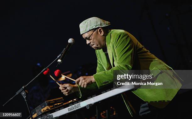 Roy Ayers during Jazz Fusion Feat Roy Ayers, Jon Lucien, Jean Carne and Ronnie Laws in Concert - July 5, 2006 at Chene Park in Detroit, Michigan,...