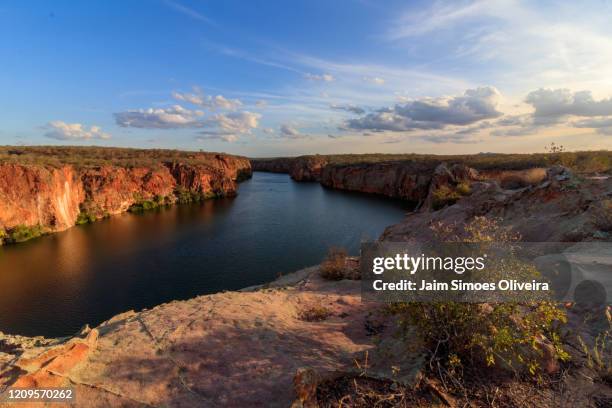 mirante do talhado, canions of são francisco river, alagoas, brazil. - caatinga stockfoto's en -beelden