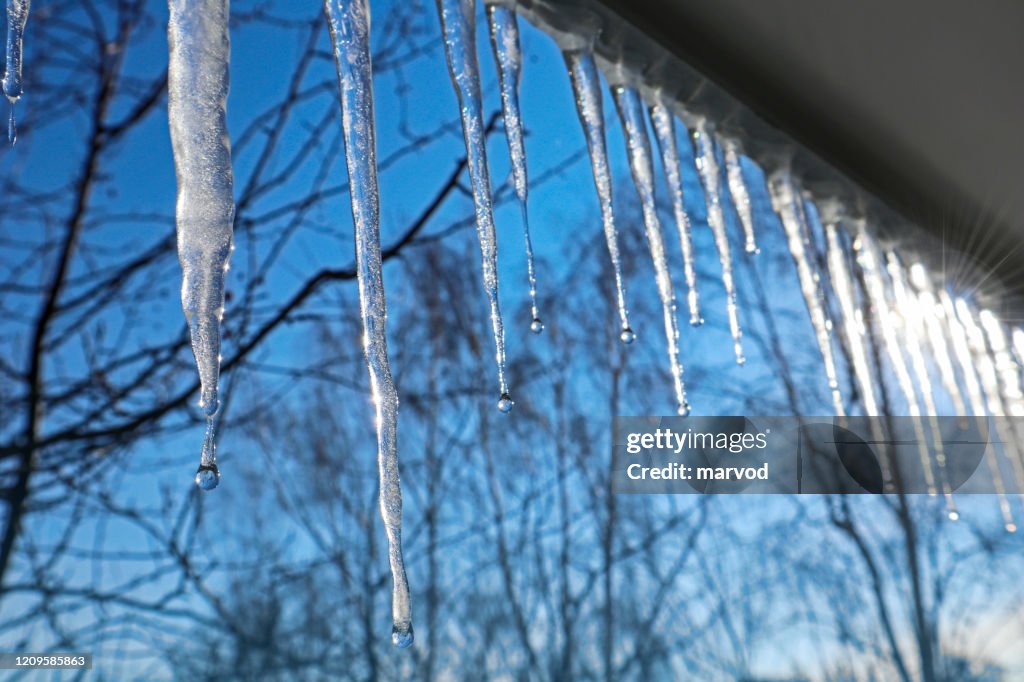 Icicles against the blue sky.
