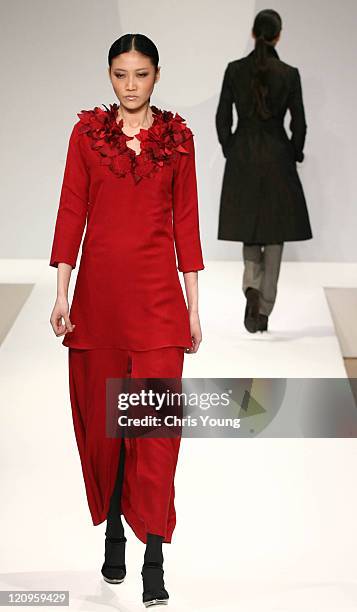 Model wearing Allegra Hicks Autumn/Winter 2006 during London Fashion Week Autumn/Winter 2006 - Allegra Hicks - Runway at Royal Academy of Arts in...