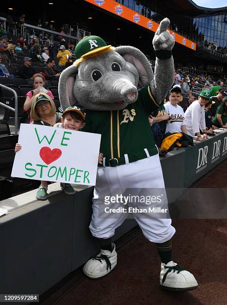 105 Oakland Athletics Mascot Stomper Stock Photos, High-Res