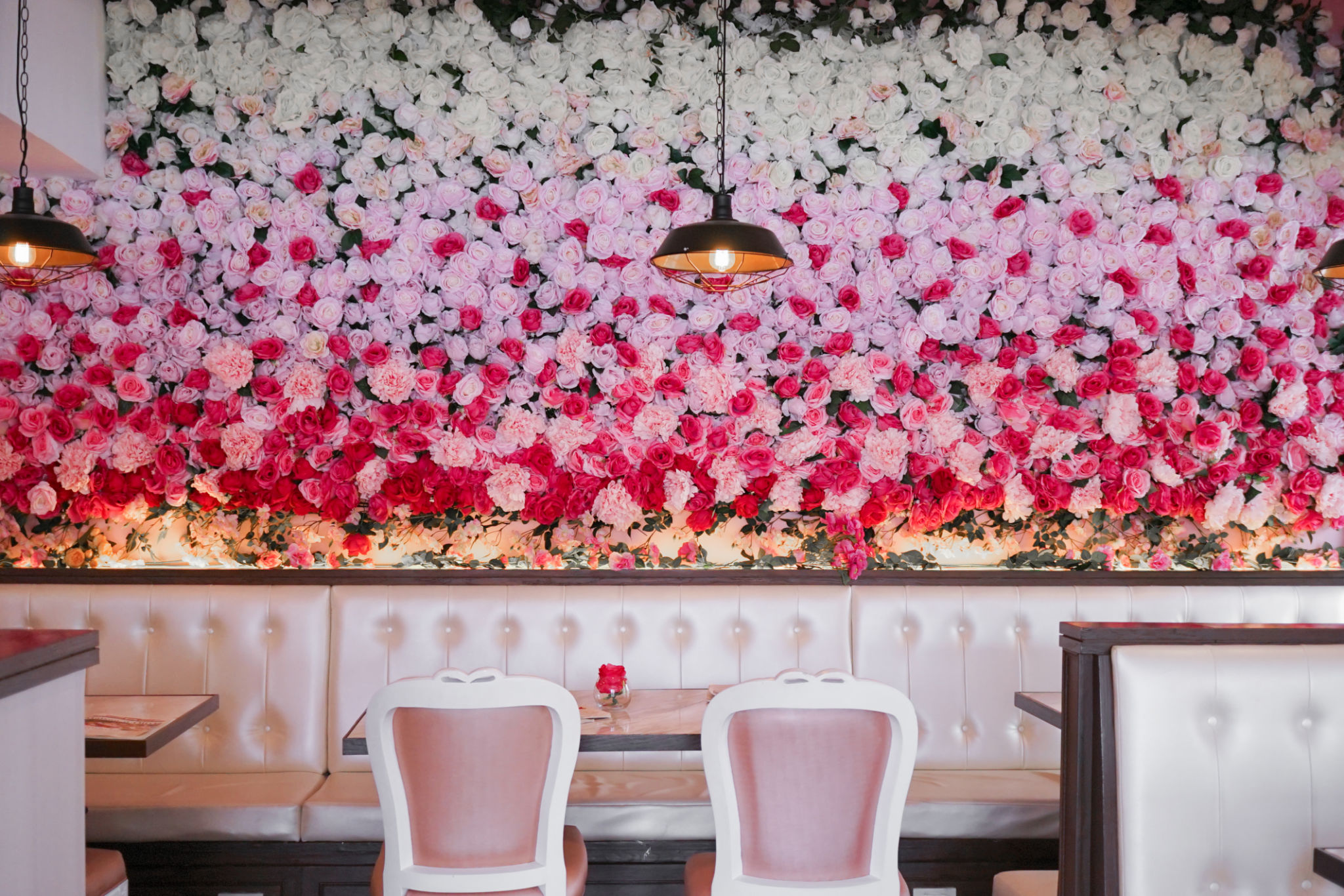 Beautiful rose wall decorated for Happy Valentine's concept. Roses are in pink, red and white. Beautiful rose wall decorated for Happy Valentine's concept. Roses are in pink, red and white.