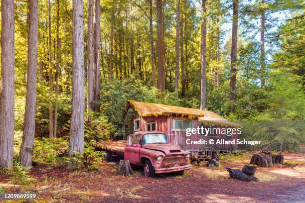 abandoned truck and cabin in the woods - californië stock pictures, royalty-free photos & images