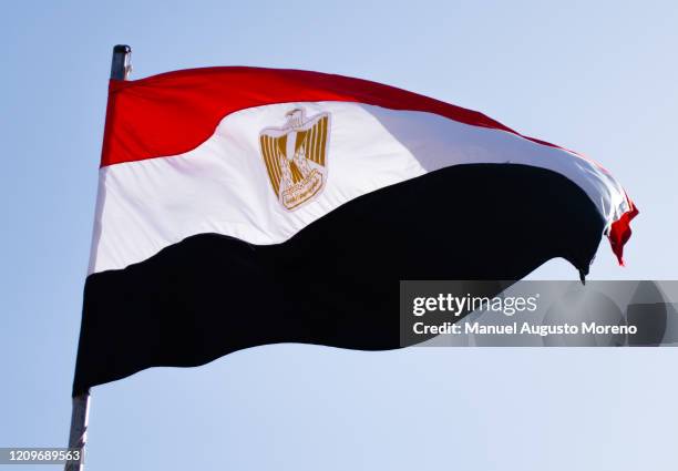 flag of egypt - ägyptische flagge stock-fotos und bilder