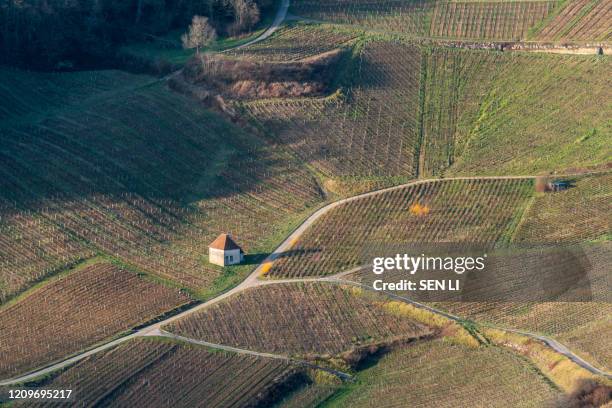 aerial view of vineyards in burgundy, france - beaujolais nouveau stock pictures, royalty-free photos & images