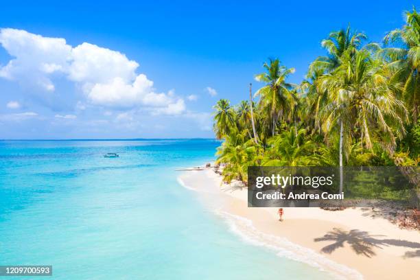 young woman walking on a desert tropical beach. zapatilla island, panama - caribbean sea stock pictures, royalty-free photos & images