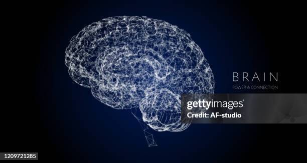 illustrazioni stock, clip art, cartoni animati e icone di tendenza di cervello umano, cervello wire-frame - ai wireframe