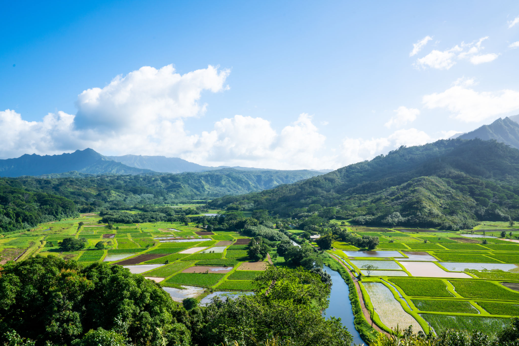 hawaii agriculture