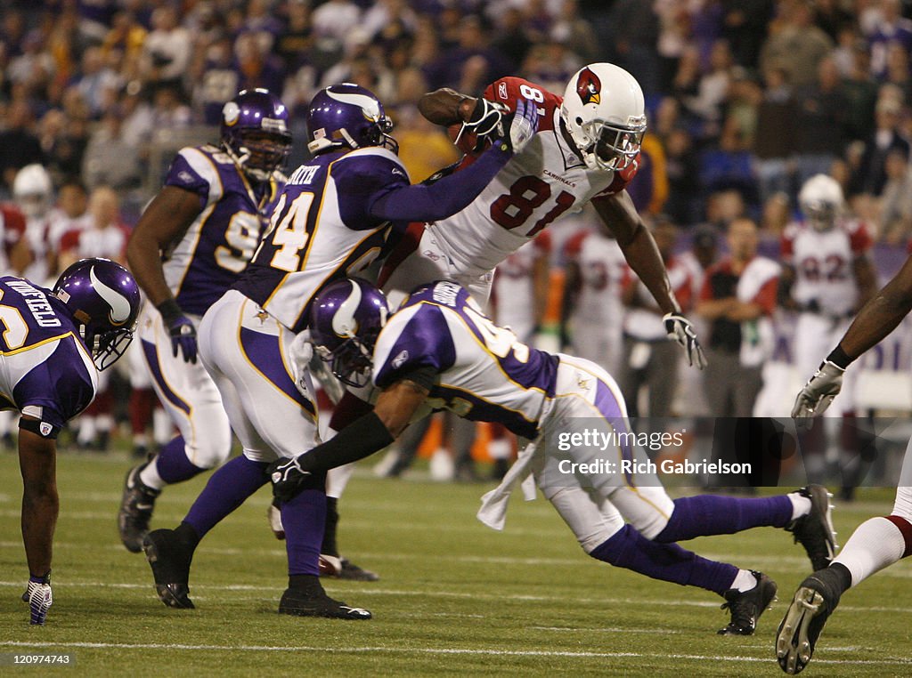 Arizona Cardinals vs Minnesota Vikings - November 26, 2006