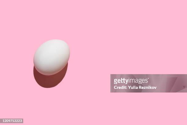 egg on the pink background - animal egg stock pictures, royalty-free photos & images