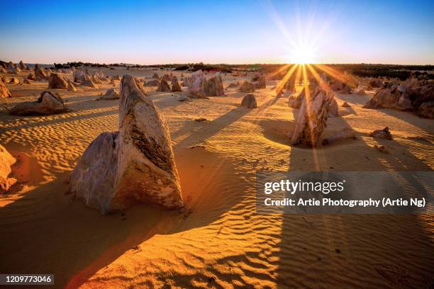 sunrise at the pinnacles, cervantes, nambung national park, western australia - pinnacles australia stock-fotos und bilder