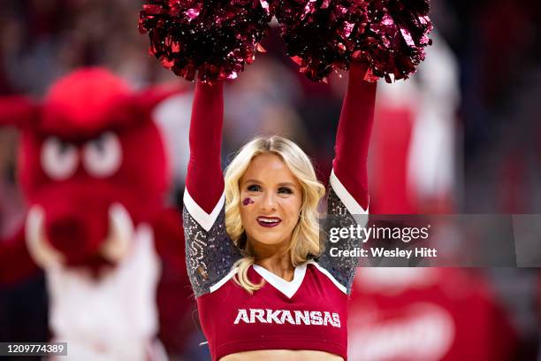 Arkansas Razorbacks Cheer Arkansas Razorback Cheerleaders Photos and Premium High Res Pictures ...