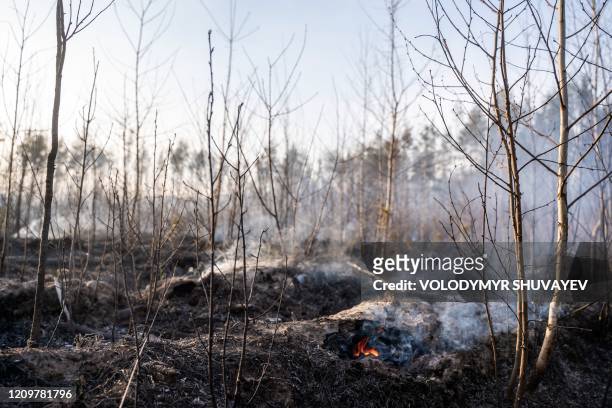 This picture taken on April 12, 2020 shows a forest fire burning at a 30-kilometer Chernobyl exclusion zone in Ukraine, not far from the nuclear...