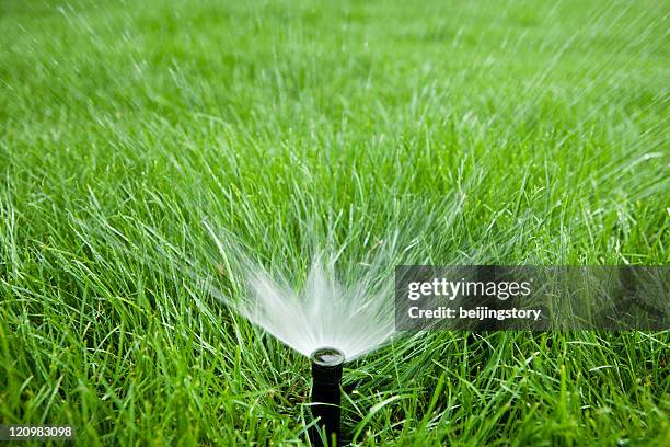 garden hose sprinkler - agricultural sprinkler stock pictures, royalty-free photos & images