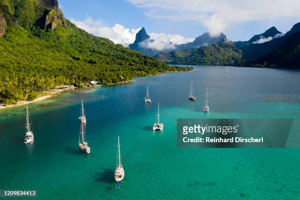 aerial view of opunohu bay, moorea, french polynesia - モーレア ストックフォトと画像