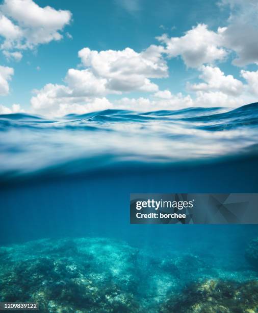 unterwasser - meer strand im hintergrund stock-fotos und bilder