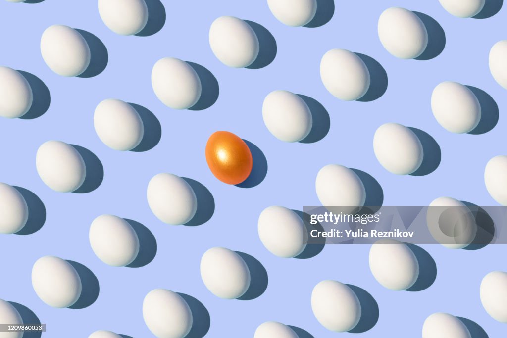 Animal eggs on the blue background