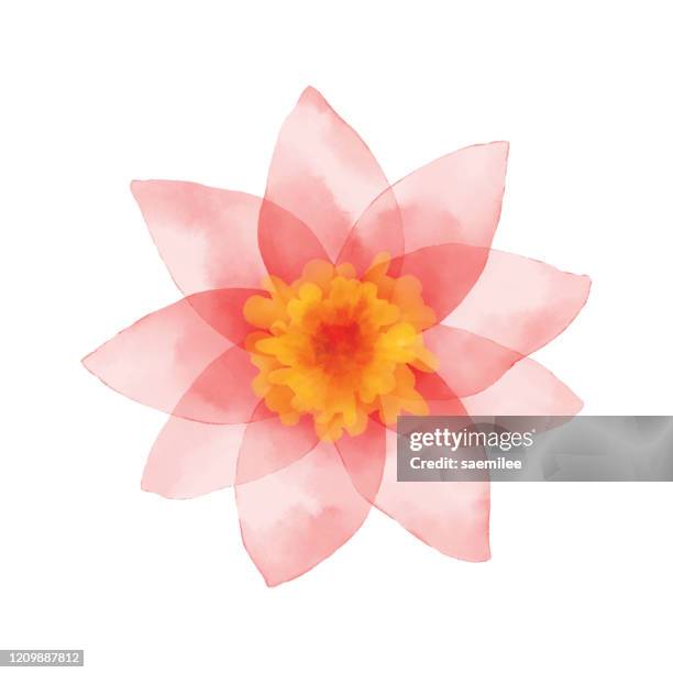 stockillustraties, clipart, cartoons en iconen met geschilderde roze bloem - bloemblaadje