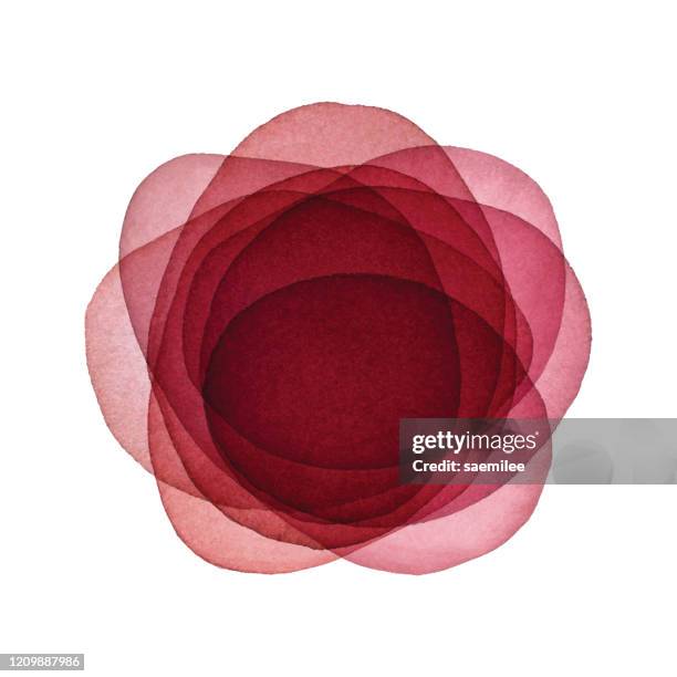 illustrazioni stock, clip art, cartoni animati e icone di tendenza di sfondo del fiore astratto rosso acquerello - rosa