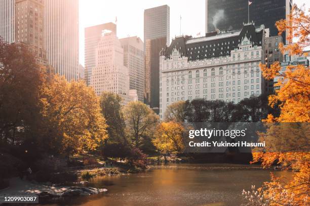 autumn central park in new york, usa - plaza hotel manhattan stockfoto's en -beelden