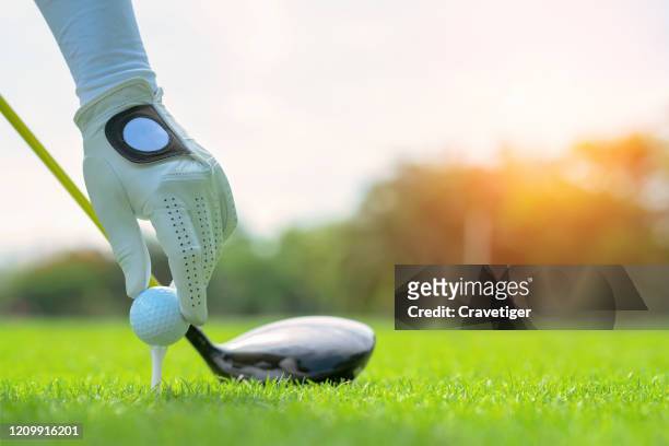 professional golfer is preparing for a great strike. - golf club fotografías e imágenes de stock