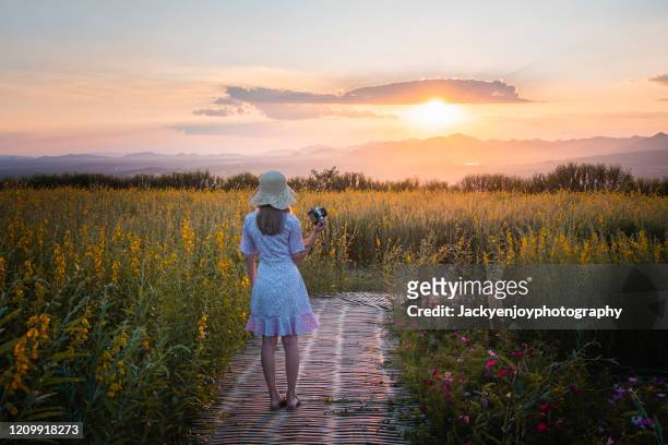 back view of young woman standing in a rape field at twilight - watching sunset stock pictures, royalty-free photos & images
