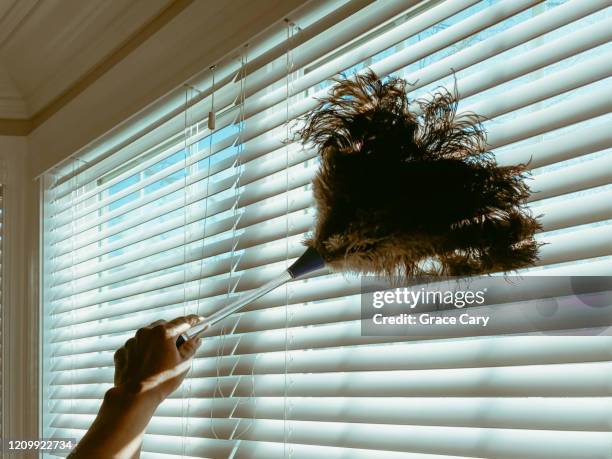 woman cleans blinds with feather duster - staubwedel stock-fotos und bilder