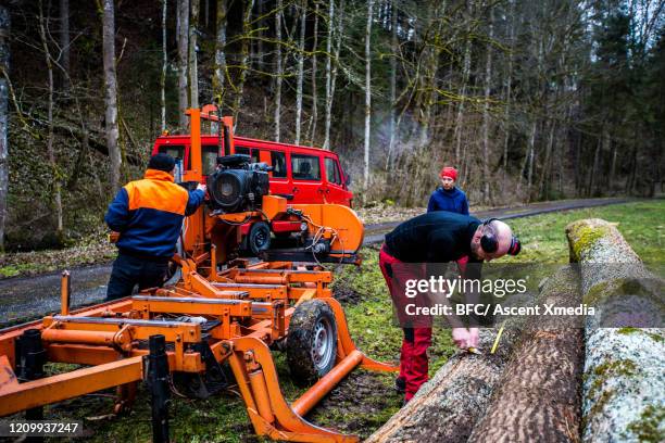 Slasher Tree Machine Tree Slasher Photos and Premium High Res Pictures - Getty Images