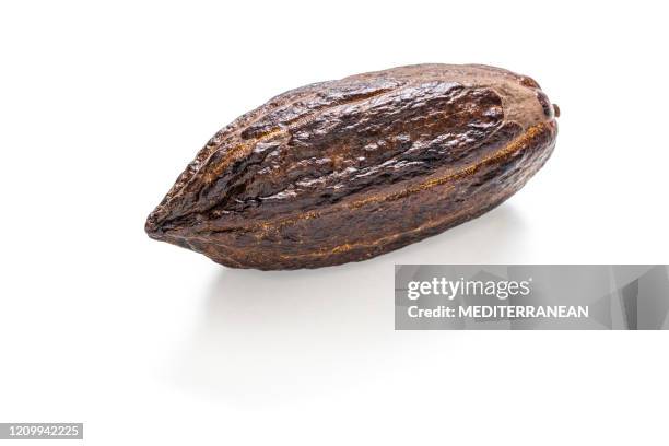 vaina de cacao con cacao para chocolate aislado sobre blanco - polvo de cacao fotografías e imágenes de stock