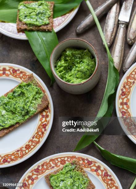 fresh wild garlic butter - bear cottage stock pictures, royalty-free photos & images