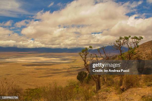 ngorongoro crater, ngorongoro conservation area, tanzania - ngorongoro conservation area stock pictures, royalty-free photos & images