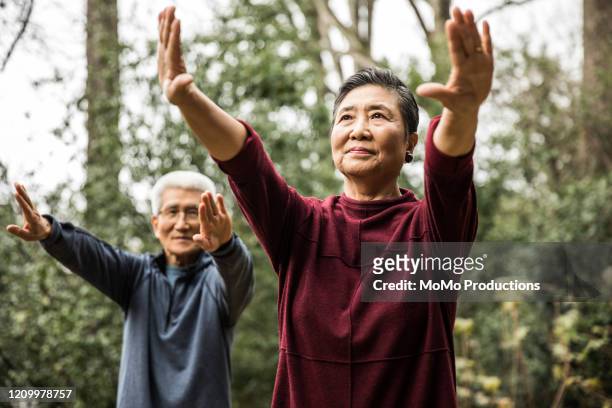 senior couple doing tai chi outdoors - asian exercise stock-fotos und bilder